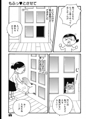 猫の通り道 Nadeshico Blog